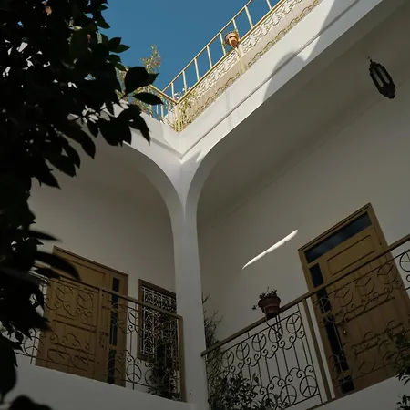 Riad Yu Yu-3
