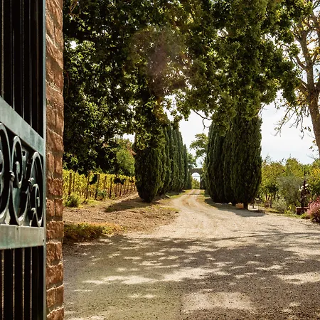 Villa Le Prata - Winery&Accommodation - Adults Only-2