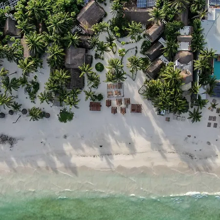 Bt Live Tulum Located At The Party Zone-2