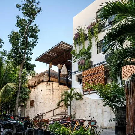 Mayan Monkey Tulum - Social Hostel (Adults Only)-2