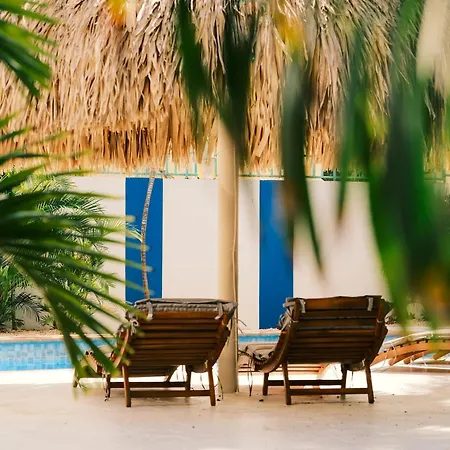 The Green Turtle Eco Lodge-2