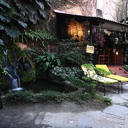 Hotel Nirvana Garden-3