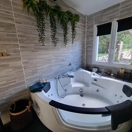 A l'Orée des pins - Gite et spa de 30 m2- Home Cinéma et massage en sup-3