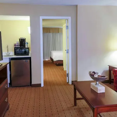 Mcm Elegante Hotel & Suites Lubbock-3