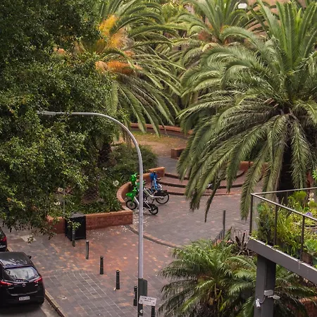 Tequila Sunrise Potts Point-3
