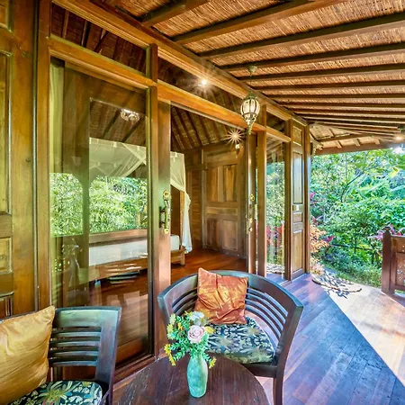 The Jungle Villa-3