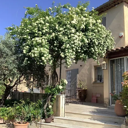 jardin d'antan-3