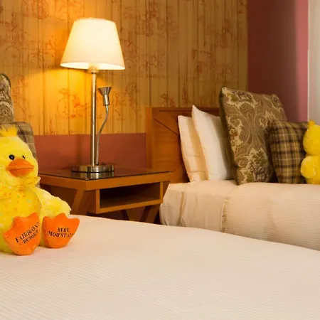 Fairmont Resort Blue Mountains Mgallery Collection-2