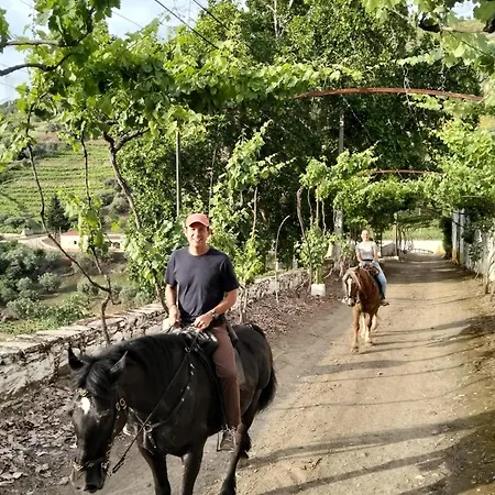 Quinta do Valdalágea-2
