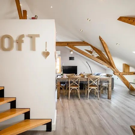 Villa Maeva Riquewihr - Appartements 4 étoiles -Sauna Fitness et Parking-2