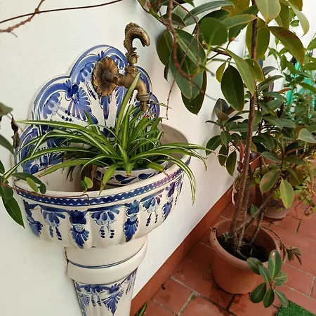 Patios con encanto-2
