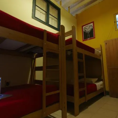 Flying Dog Hostel-2