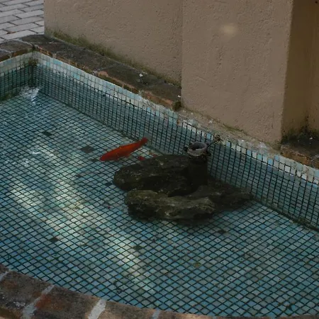 Albergo el Rancho-3