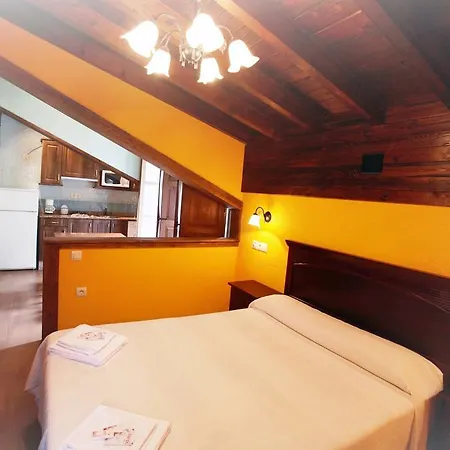 Apartamentos Aguasaliu-3