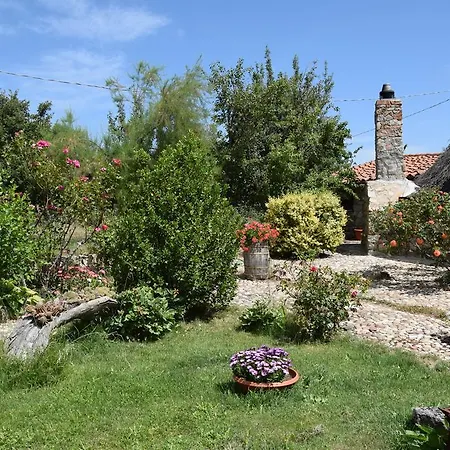 Agriturismo Su Pinnettu-3