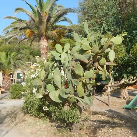 Camping Reale-3