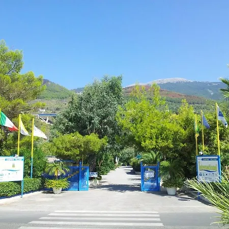 International Camping Village-2