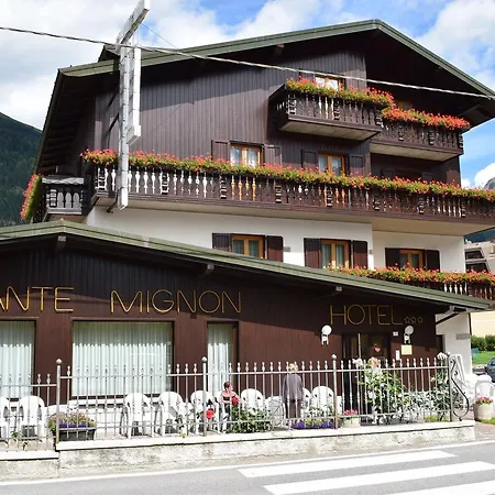 Hotel Mignon-2