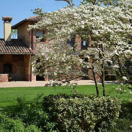Agriturismo Borgo Tecla-3