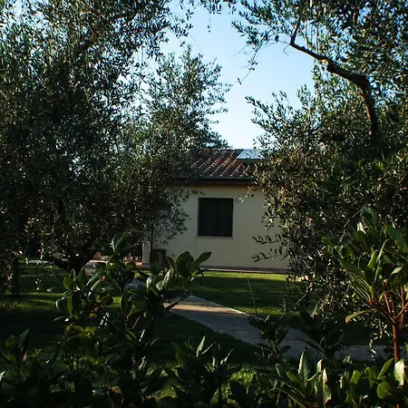 Agriturismo Dallolivo-2