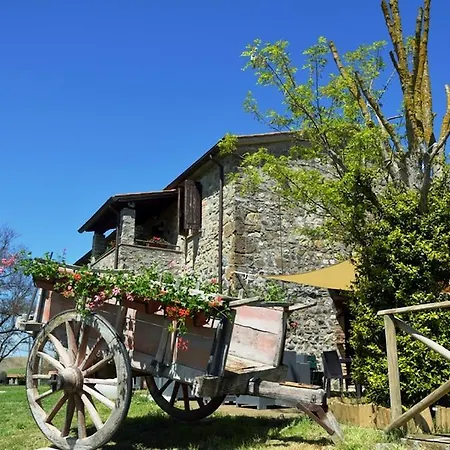 Agriturismo Il Poggio Di Orvieto-2