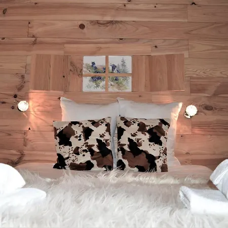 Chalet Saint Bernard-2