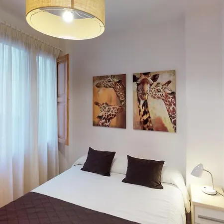 Apartamentos Edificio Palomar-2