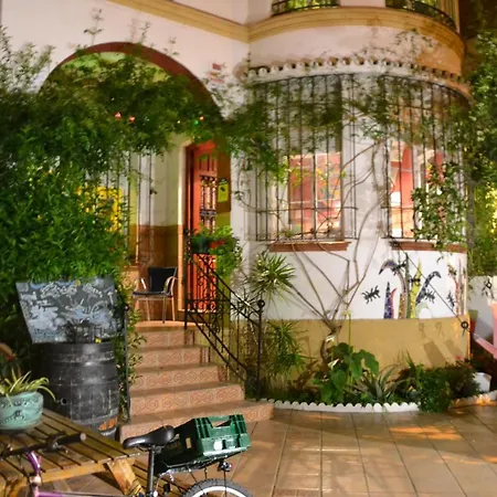 Casa Babylon Backpakers Hostel-3