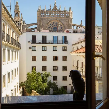 Catedral Cabildo-2