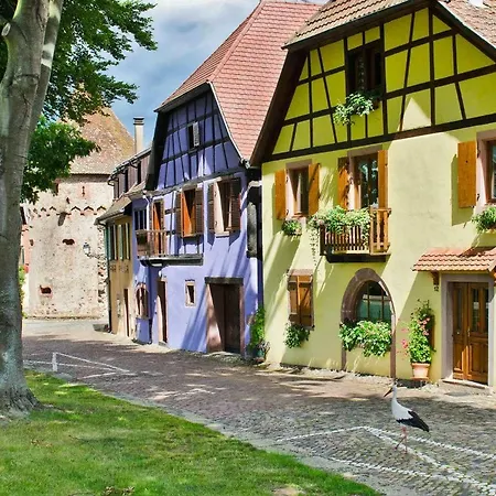 La Maison Jaune-2