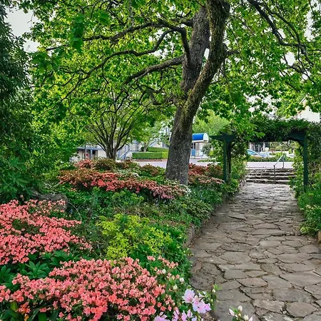 Nesuto Leura Gardens-3