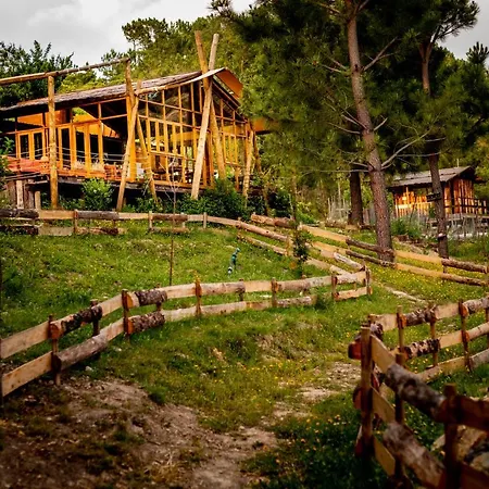 Quinta Alma - Ecological Retreat Farm-3