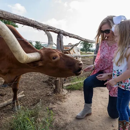 Wildcatter Ranch And Resort-3