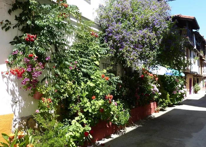 Hotel que admite mascotas: Hostal Candeleda