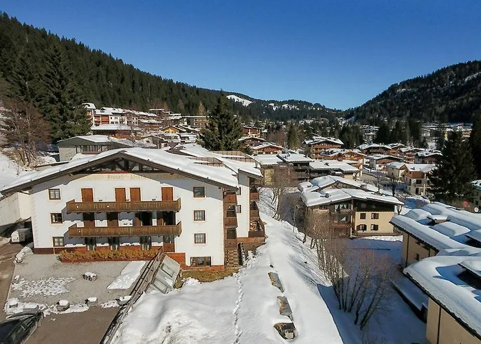 Hotel 3 stelle: Hotel Perla***