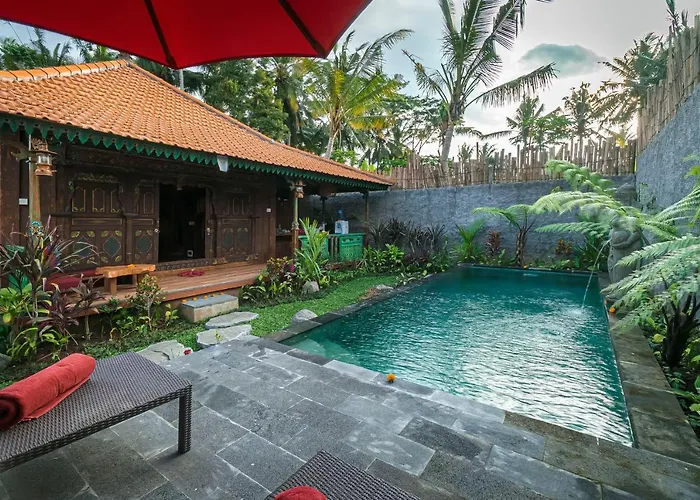 Villa: The Forest Villa Ubud