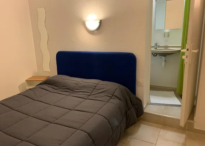 Hôtel accueillant les animaux: Hotel Macon la Salle