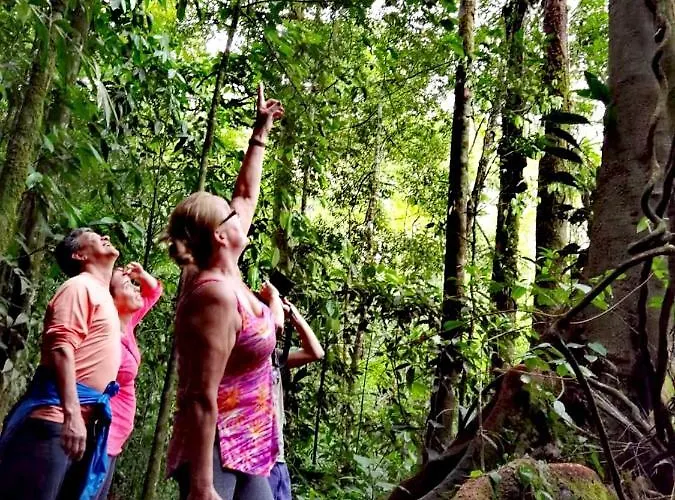 Villa: Cecropia Ecolodge