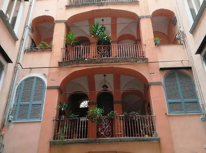 Domusrealstella