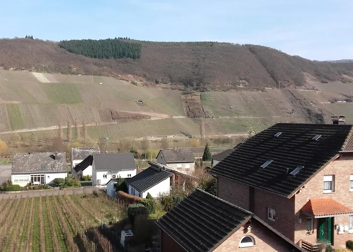 Familienhotel: Gästehaus Moselblick
