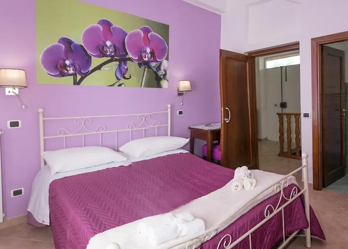 Hotel 4 stelle: Vivere A Colori