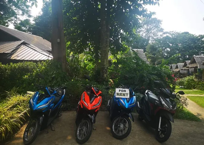  Jungle Garden