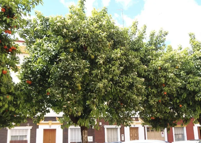 Apartamento en Triana