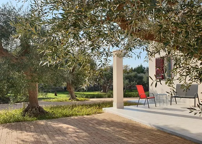 Casa vacanze: Tra gli ulivi