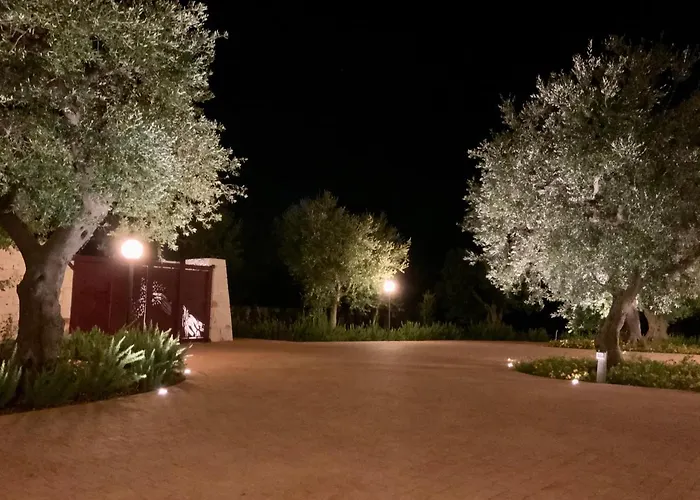 Casa vacanze: Tra gli ulivi