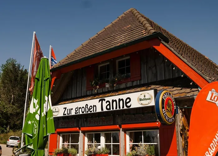 Zur grossen Tanne