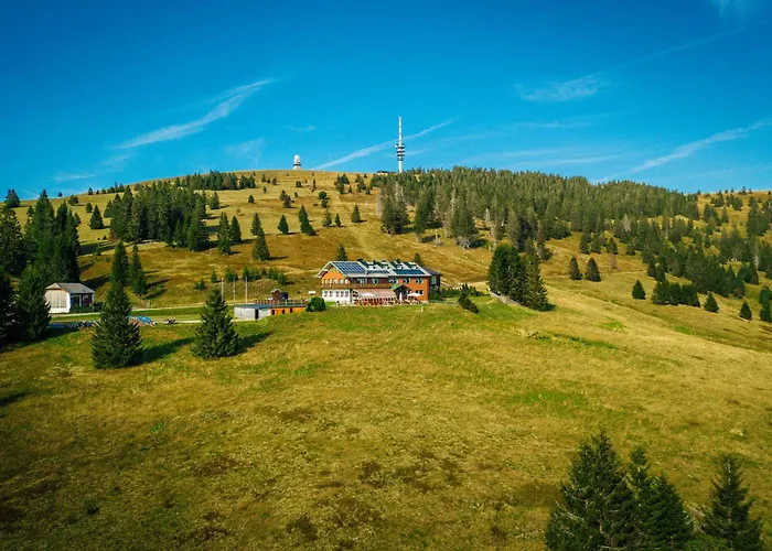 Günstiges Hotel: Berggasthof zur Todtnauer Hütte