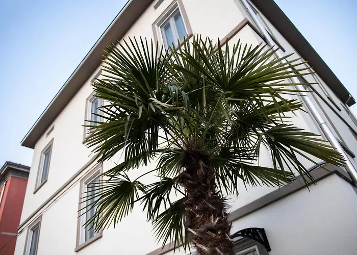 Casa degli ospiti: Le Palme