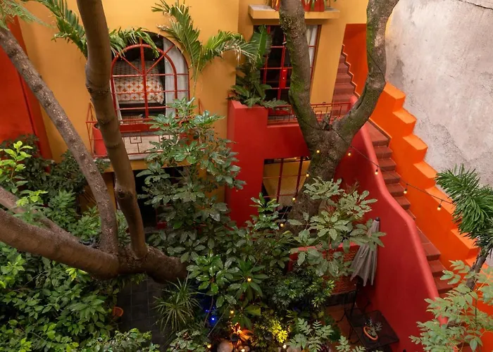 Hotel with view: The Red Tree House