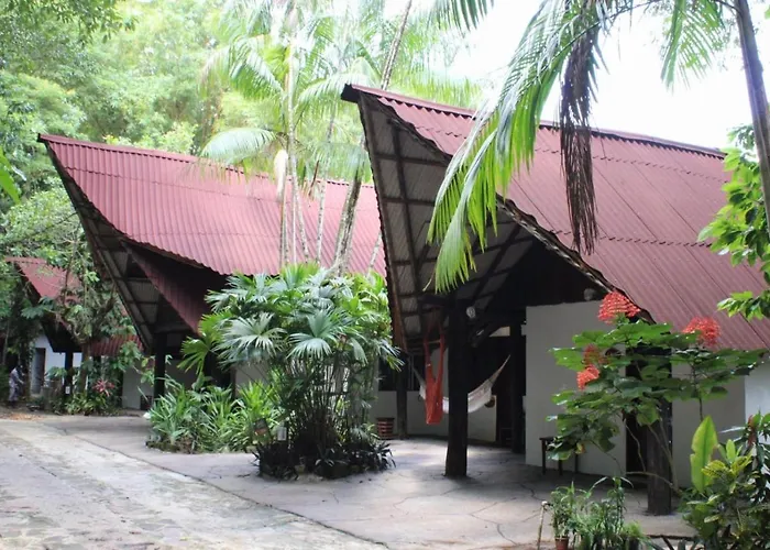 Reservamazon Forest
